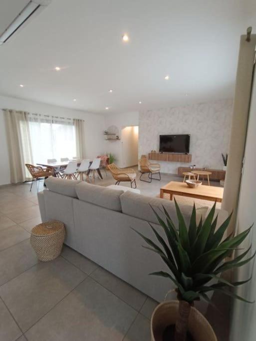 Villa Des Rives Du Tarn Avec Jacuzzi Montans Exterior foto
